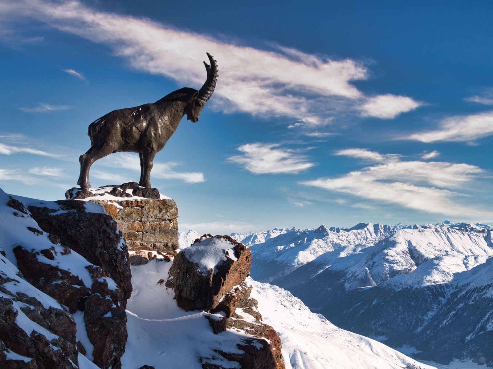 Íbex dos Alpes no alto da montanha